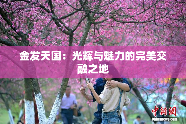 金发天国：光辉与魅力的完美交融之地