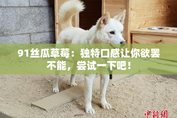 91丝瓜草莓：独特口感让你欲罢不能，尝试一下吧！