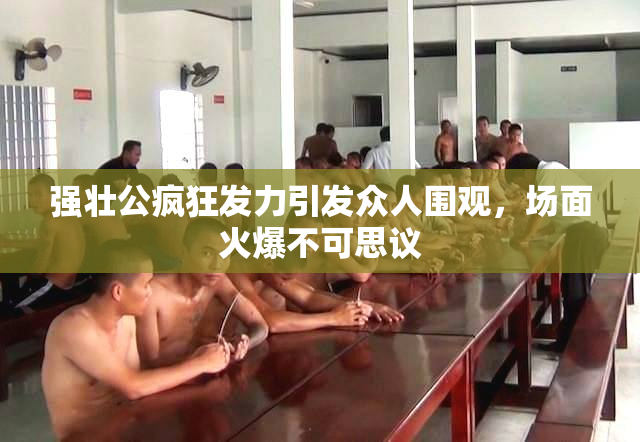 强壮公疯狂发力引发众人围观，场面火爆不可思议