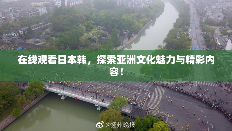 在线观看日本韩，探索亚洲文化魅力与精彩内容！