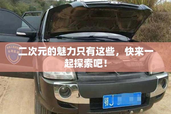 二次元的魅力只有这些，快来一起探索吧！