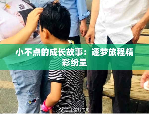 小不点的成长故事：逐梦旅程精彩纷呈