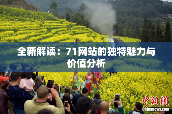 全新解读：71网站的独特魅力与价值分析