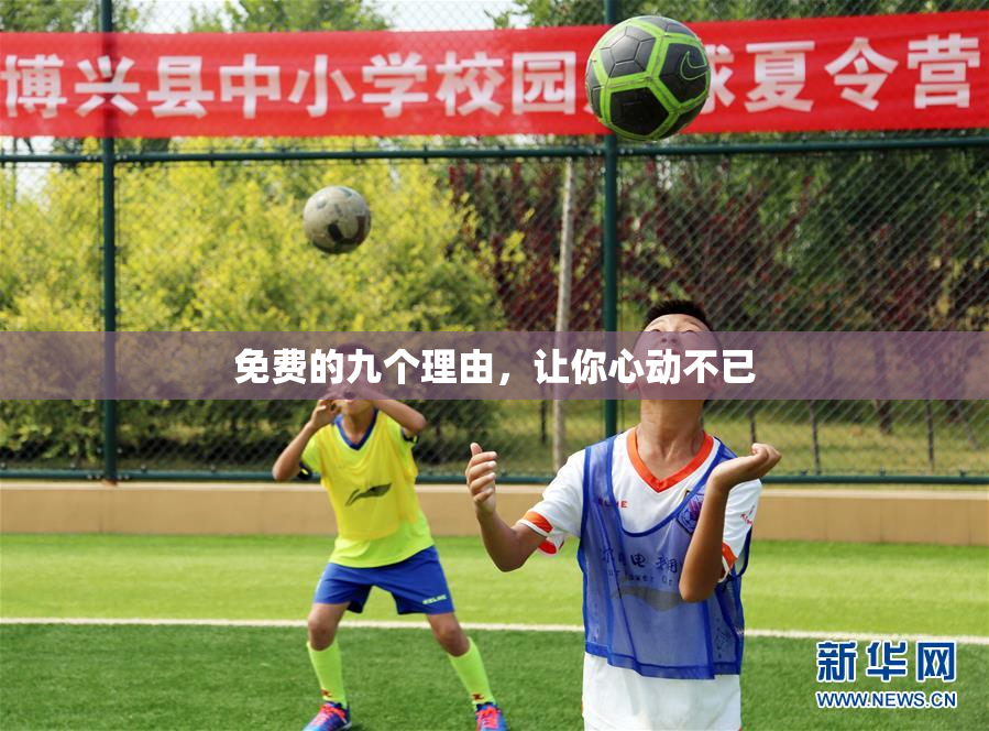 免费的九个理由，让你心动不已