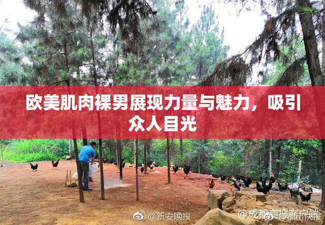 欧美肌肉裸男展现力量与魅力，吸引众人目光