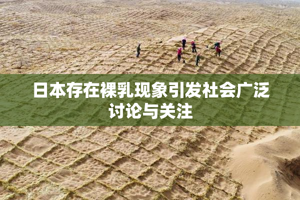 日本存在裸乳现象引发社会广泛讨论与关注