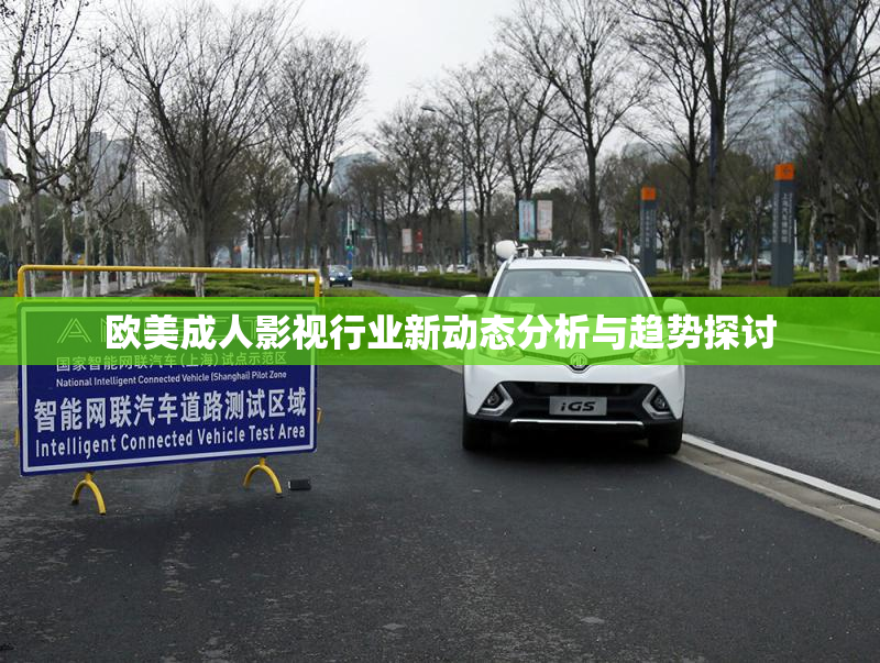 欧美成人影视行业新动态分析与趋势探讨