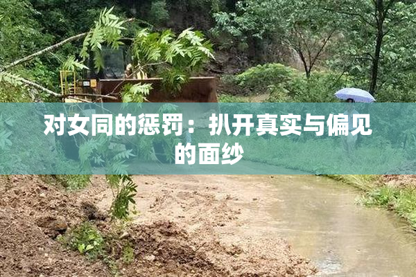 对女同的惩罚：扒开真实与偏见的面纱