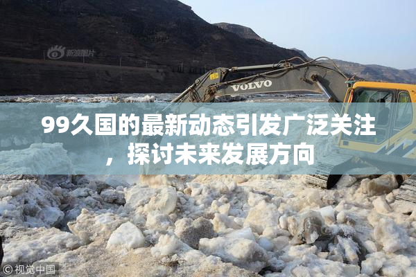 99久国的最新动态引发广泛关注，探讨未来发展方向