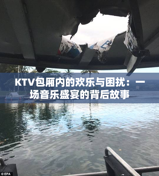 KTV包厢内的欢乐与困扰：一场音乐盛宴的背后故事