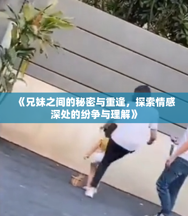 《兄妹之间的秘密与重逢，探索情感深处的纷争与理解》