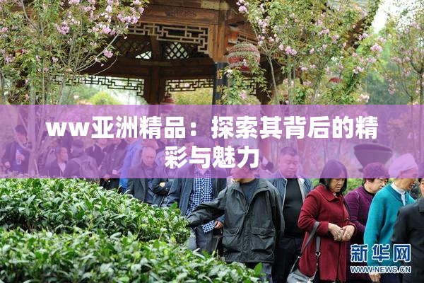 ww亚洲精品：探索其背后的精彩与魅力