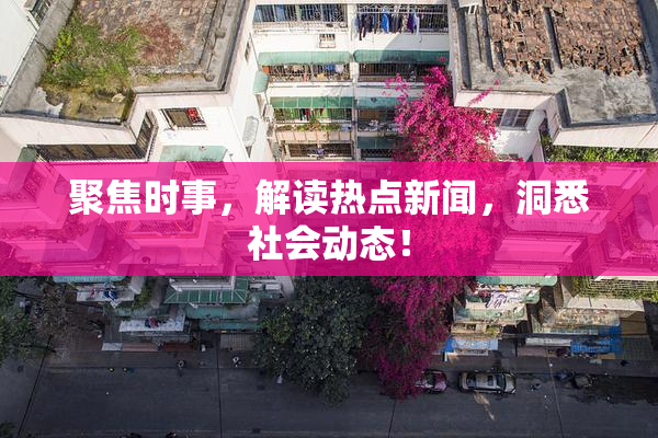 聚焦时事，解读热点新闻，洞悉社会动态！