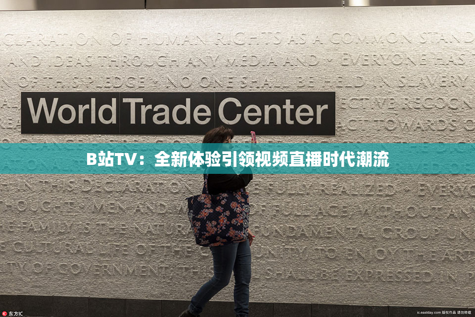 B站TV：全新体验引领视频直播时代潮流