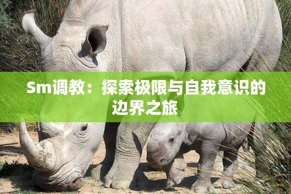 Sm调教：探索极限与自我意识的边界之旅