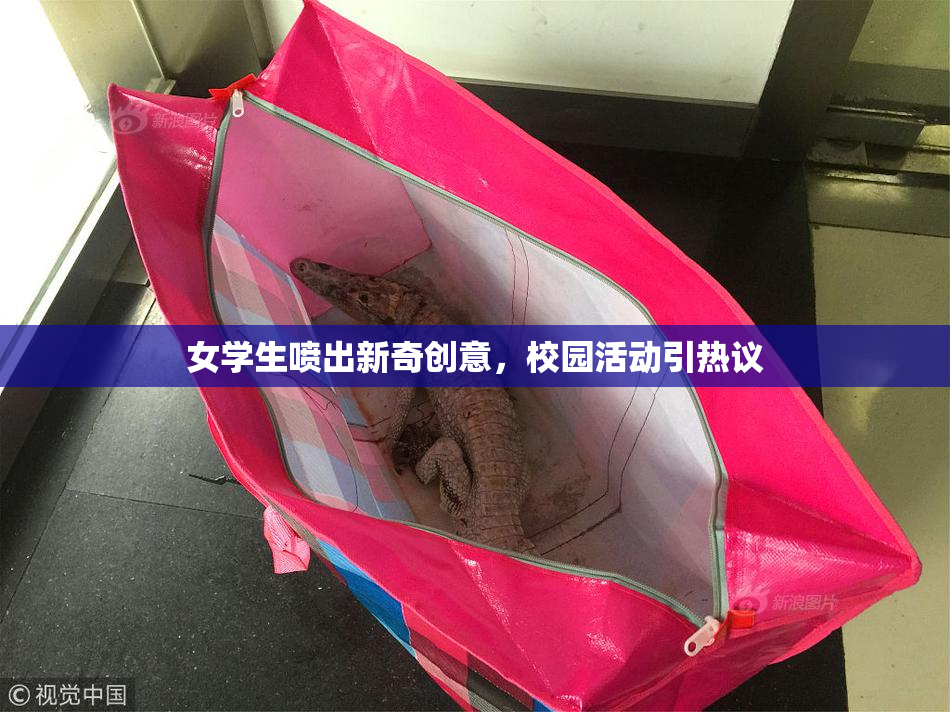 女学生喷出新奇创意，校园活动引热议