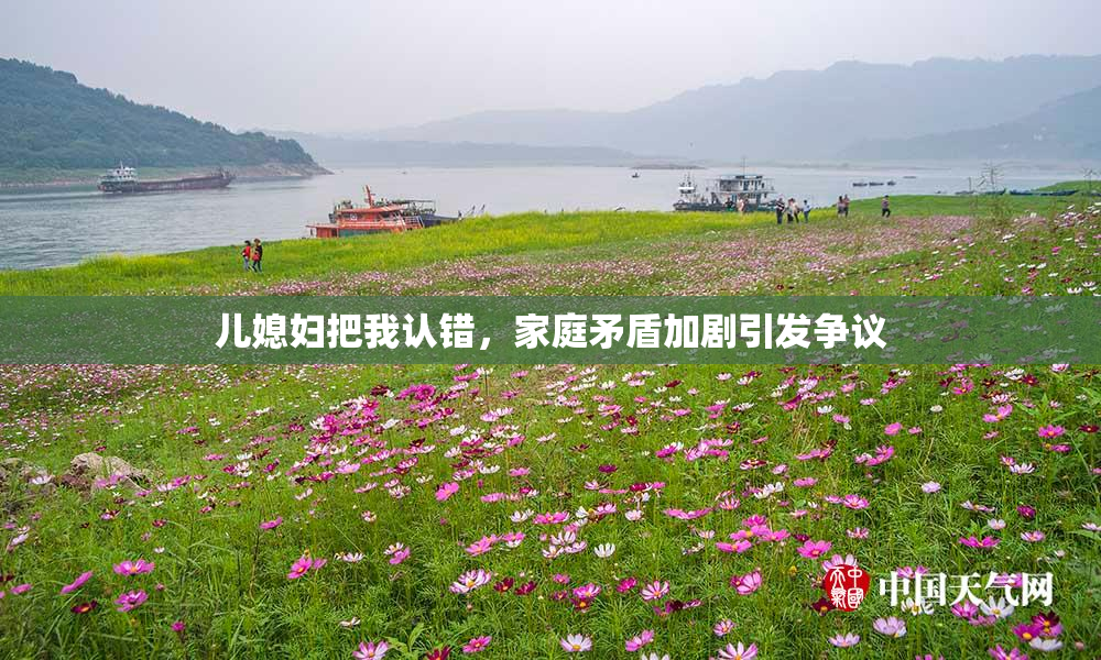 儿媳妇把我认错，家庭矛盾加剧引发争议