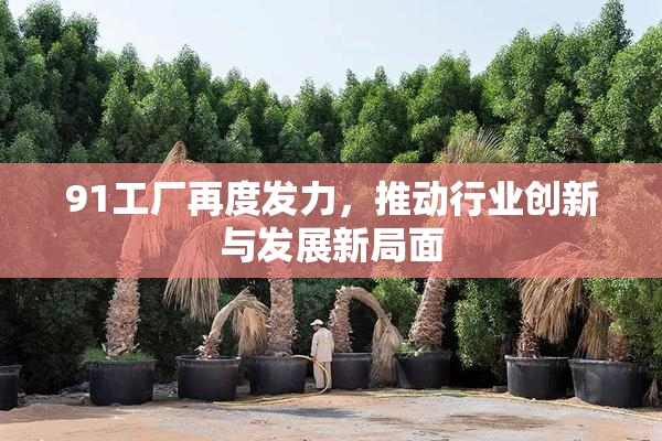 91工厂再度发力，推动行业创新与发展新局面