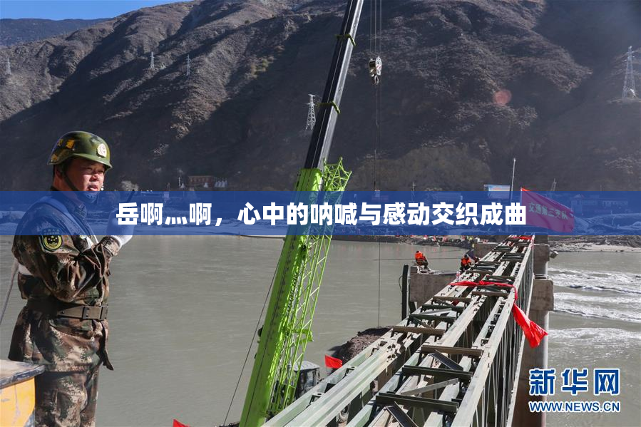 岳啊灬啊，心中的呐喊与感动交织成曲