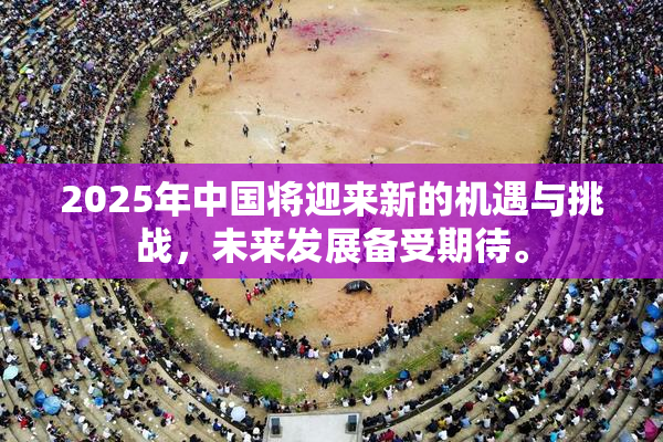 2025年中国将迎来新的机遇与挑战，未来发展备受期待。