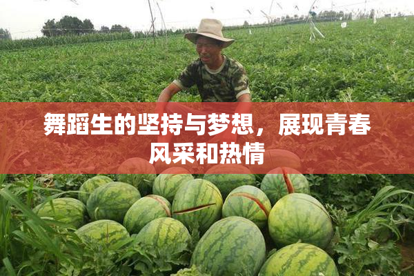 舞蹈生的坚持与梦想，展现青春风采和热情
