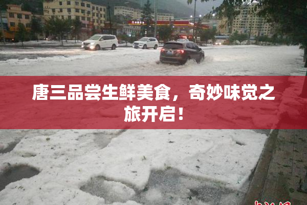 唐三品尝生鲜美食，奇妙味觉之旅开启！