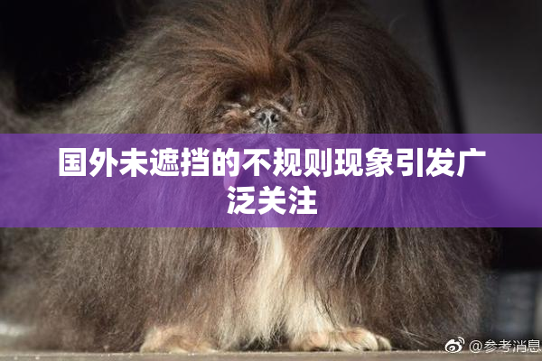 国外未遮挡的不规则现象引发广泛关注