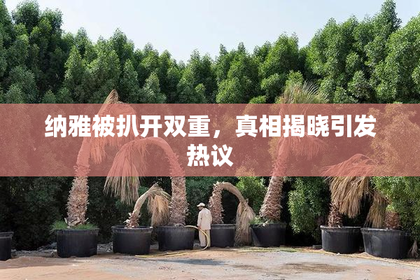 纳雅被扒开双重，真相揭晓引发热议