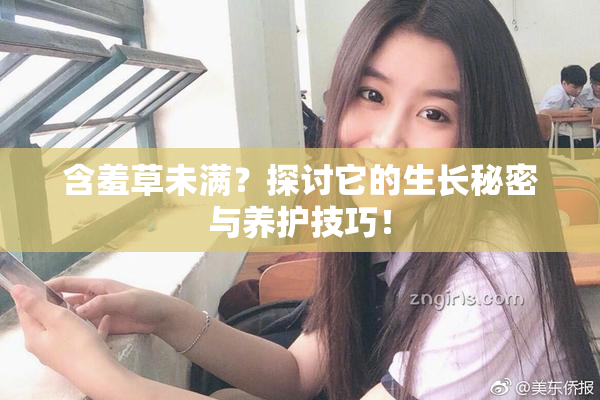 含羞草未满？探讨它的生长秘密与养护技巧！