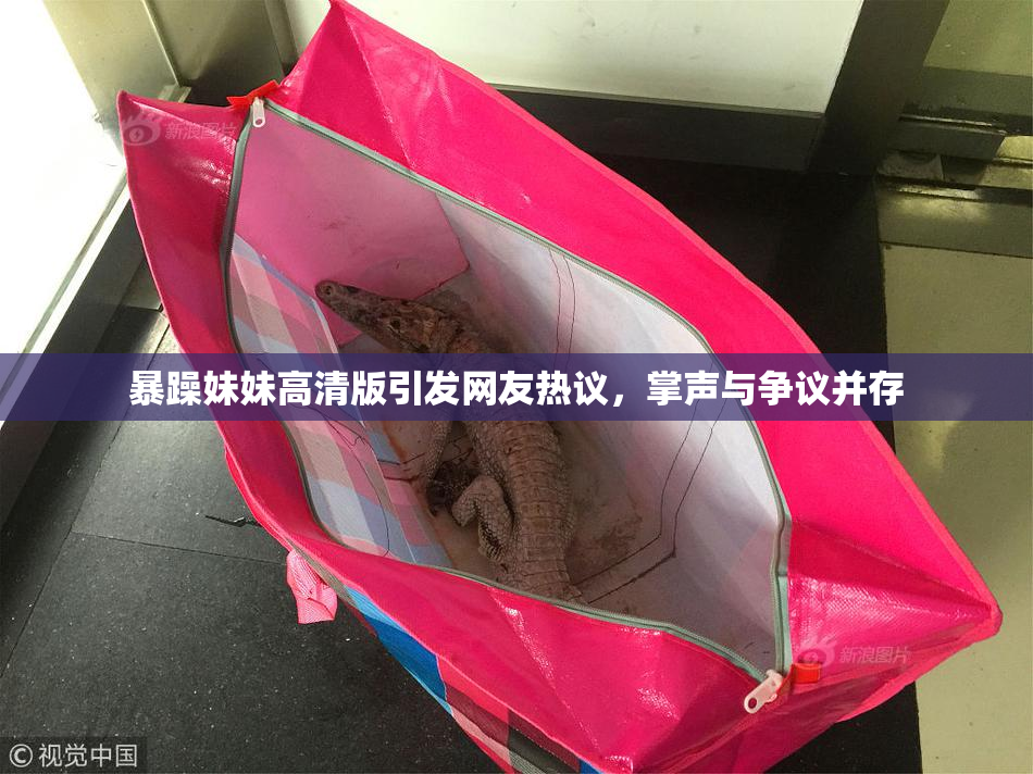 暴躁妹妹高清版引发网友热议，掌声与争议并存