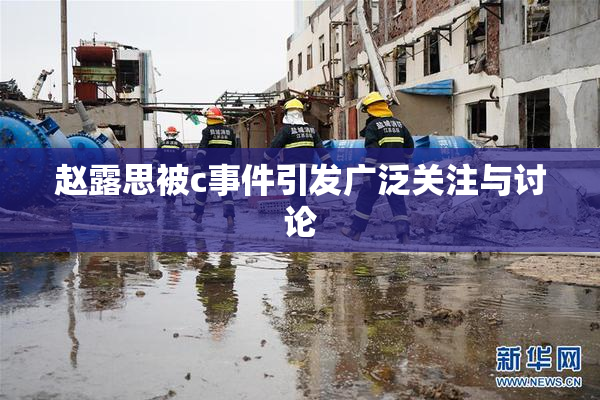 赵露思被c事件引发广泛关注与讨论