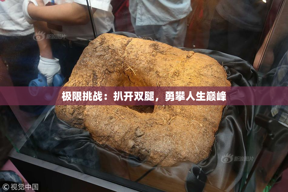 极限挑战：扒开双腿，勇攀人生巅峰
