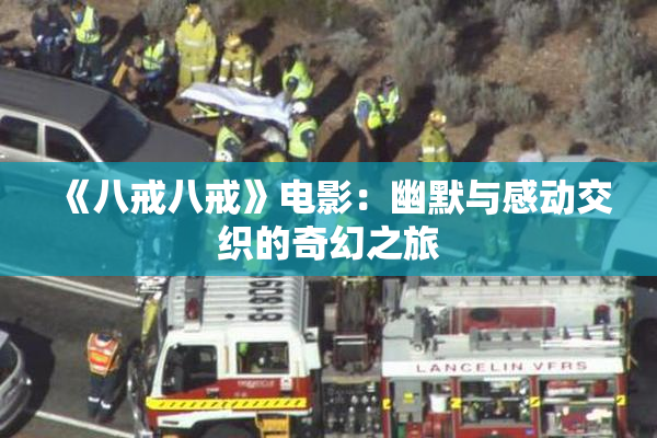 《八戒八戒》电影：幽默与感动交织的奇幻之旅