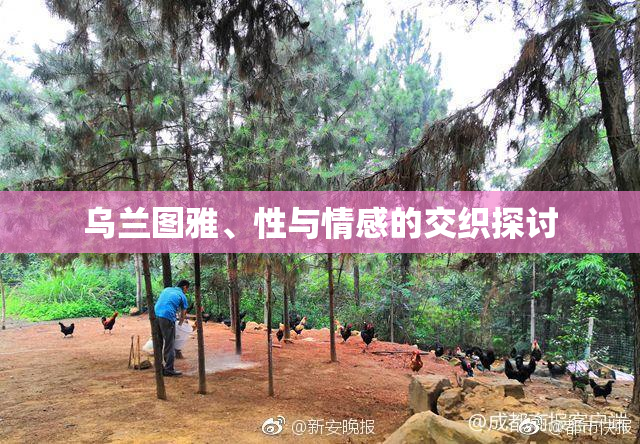 乌兰图雅、性与情感的交织探讨
