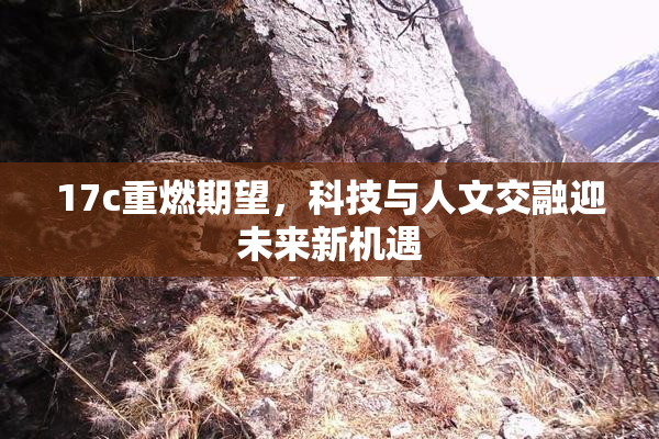 17c重燃期望，科技与人文交融迎未来新机遇