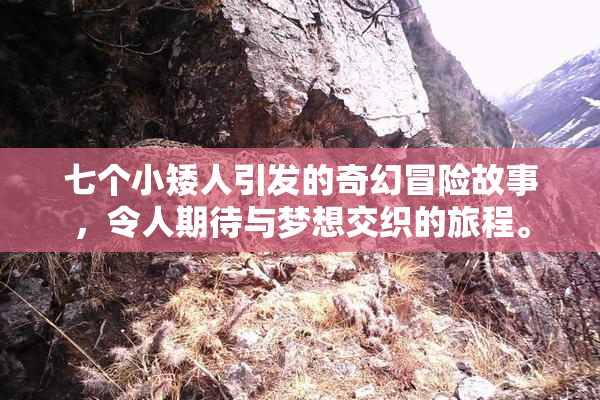 七个小矮人引发的奇幻冒险故事，令人期待与梦想交织的旅程。