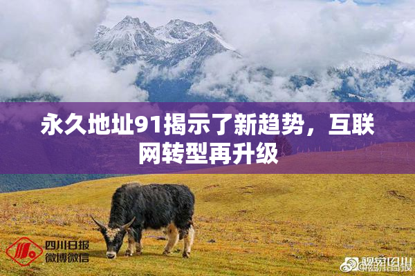 永久地址91揭示了新趋势，互联网转型再升级