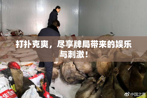 打扑克爽，尽享牌局带来的娱乐与刺激！