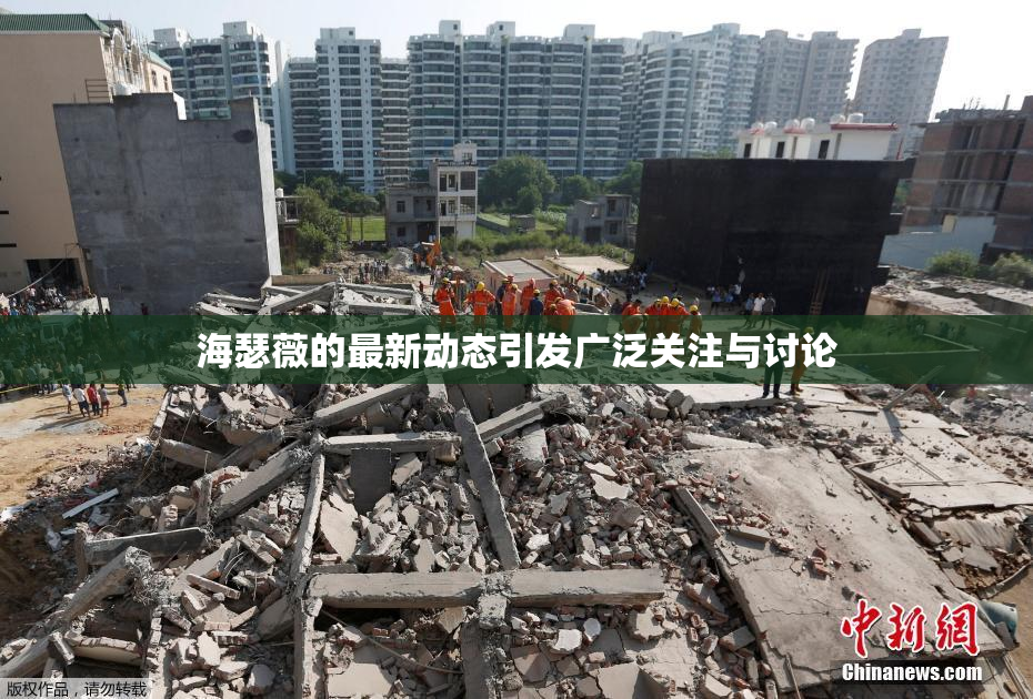 海瑟薇的最新动态引发广泛关注与讨论