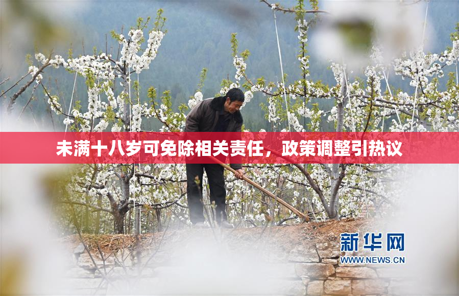 未满十八岁可免除相关责任，政策调整引热议
