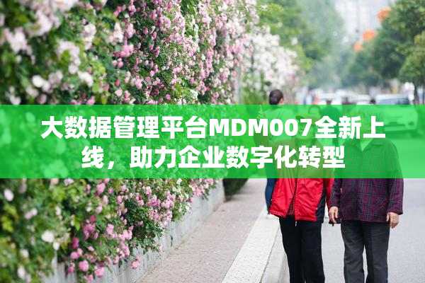 大数据管理平台MDM007全新上线，助力企业数字化转型