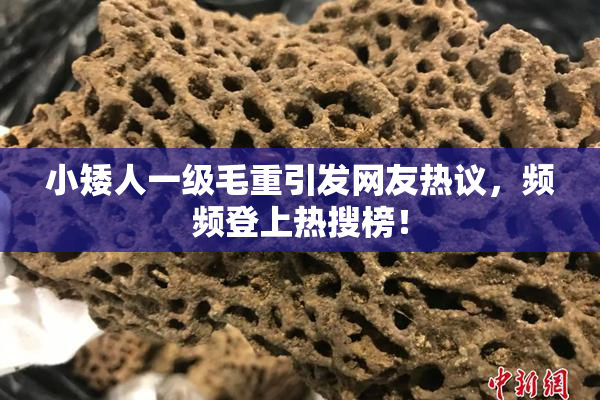小矮人一级毛重引发网友热议，频频登上热搜榜！
