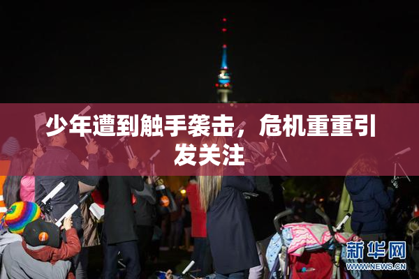 少年遭到触手袭击，危机重重引发关注