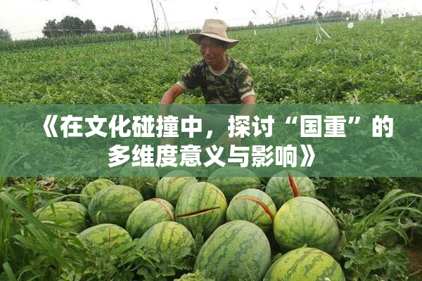 《在文化碰撞中，探讨“国重”的多维度意义与影响》