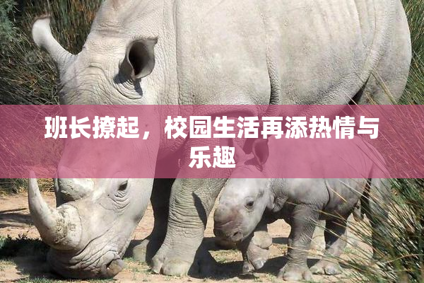 班长撩起，校园生活再添热情与乐趣