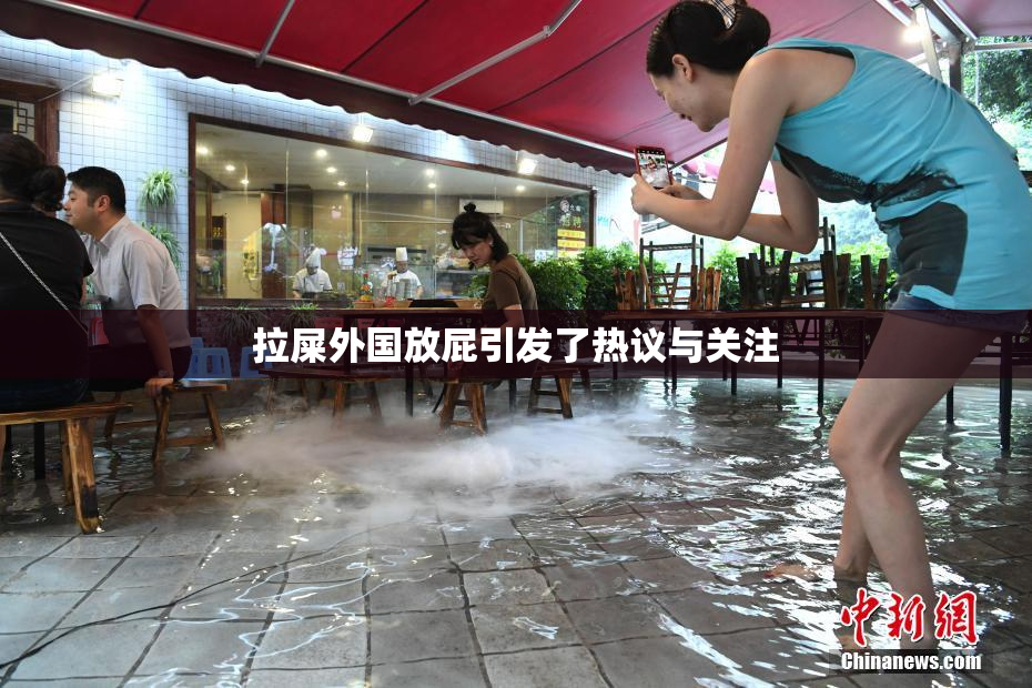 拉屎外国放屁引发了热议与关注