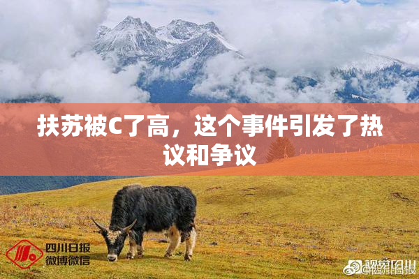 扶苏被C了高，这个事件引发了热议和争议