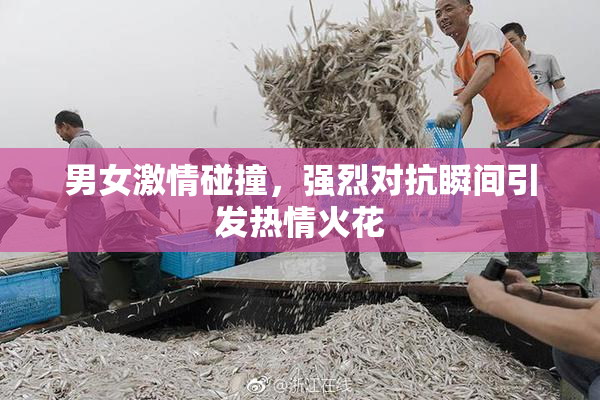 男女激情碰撞，强烈对抗瞬间引发热情火花