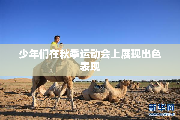 少年们在秋季运动会上展现出色表现