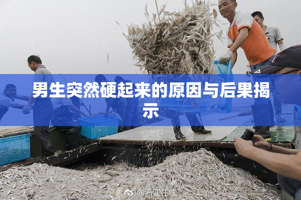 男生突然硬起来的原因与后果揭示